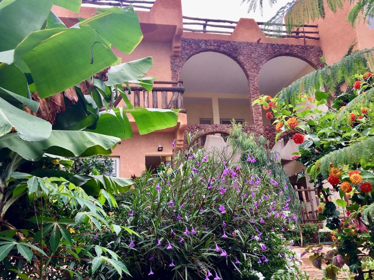 Ker Lep Jamm - Chez Moussa Et Cinzia Bed & Breakfast Toubab Dialaw Dış mekan fotoğraf